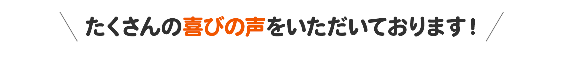 お客様の声